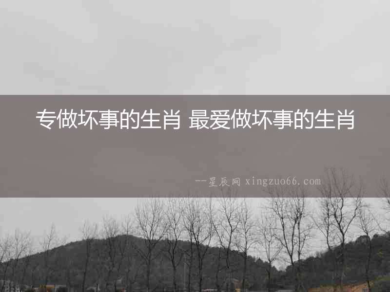 專做壞事的生肖 最愛做壞事的生肖