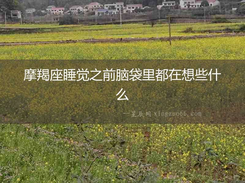 摩羯座睡覺之前腦袋里都在想些什么