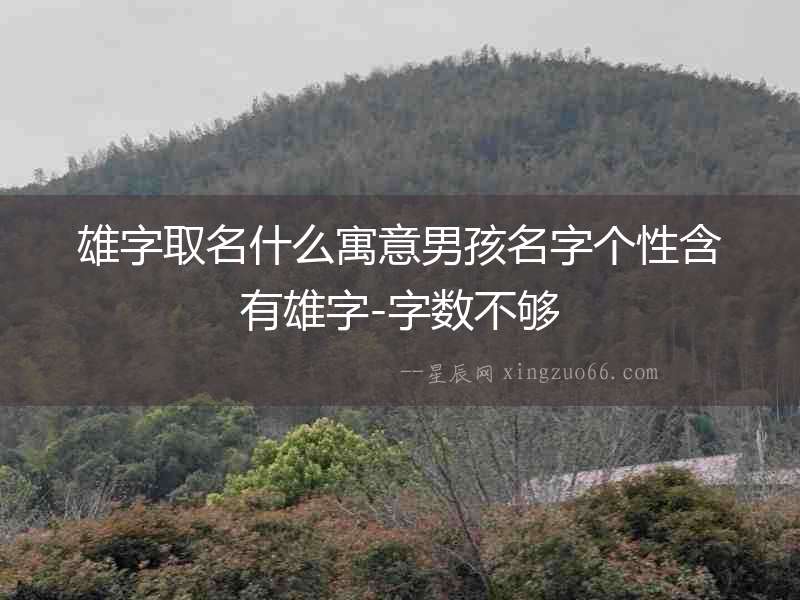 雄字取名什么寓意男孩名字個(gè)性含有雄字-字?jǐn)?shù)不夠