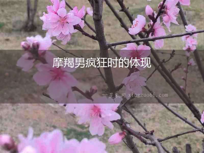 摩羯男瘋狂時的體現(xiàn)