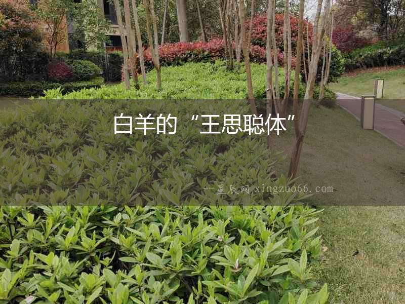 白羊的“王思聰體”
