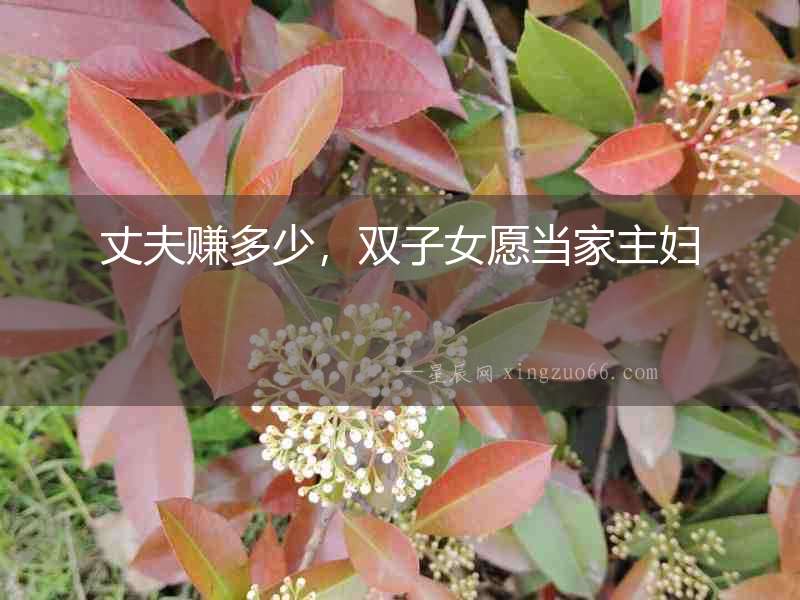 丈夫賺多少，雙子女愿當家主婦
