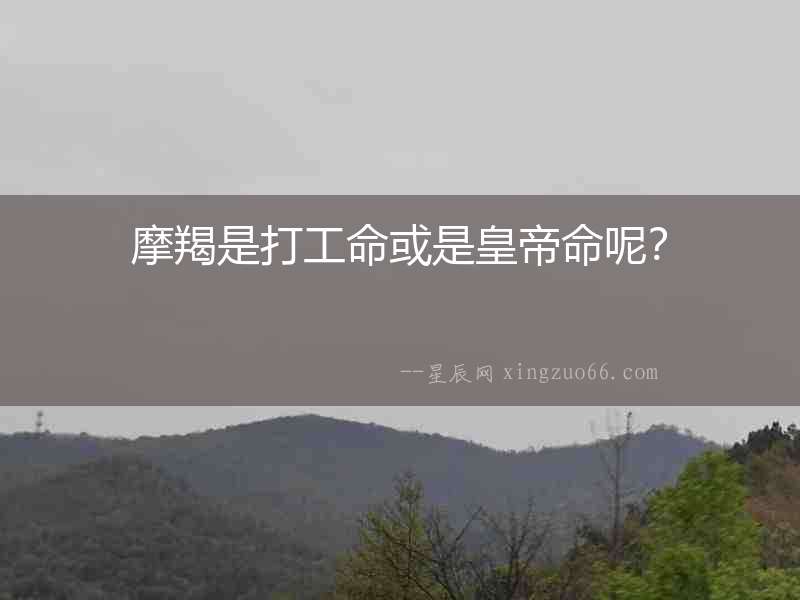 摩羯是打工命或是皇帝命呢？