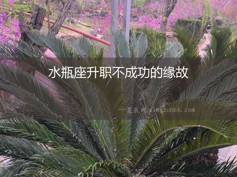 水瓶座升職不成功的緣故