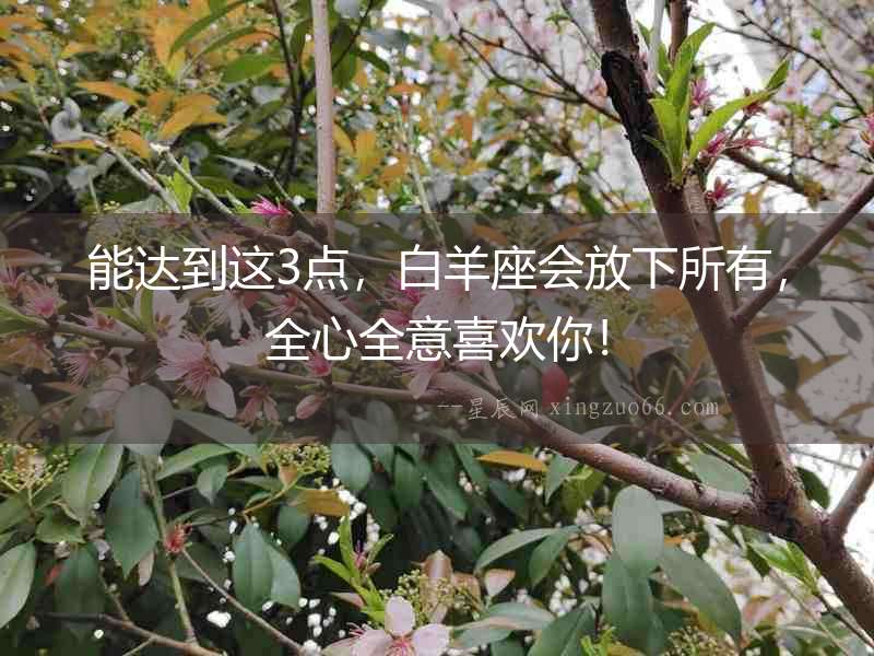 能達(dá)到這3點，白羊座會放下所有，全心全意喜歡你！