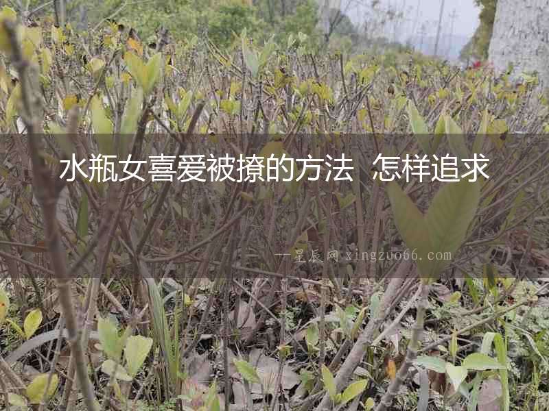 水瓶女喜愛被撩的方法  怎樣追求