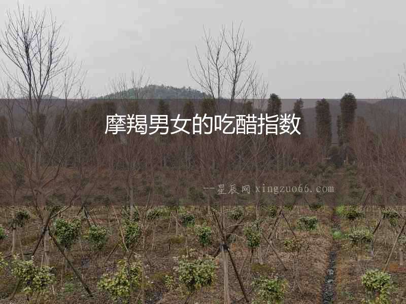摩羯男女的吃醋指數