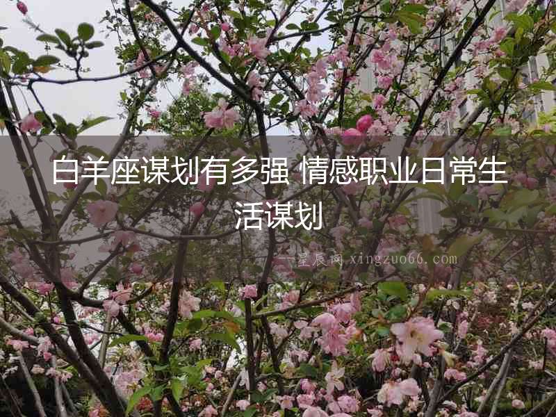 白羊座謀劃有多強 情感職業日常生活謀劃