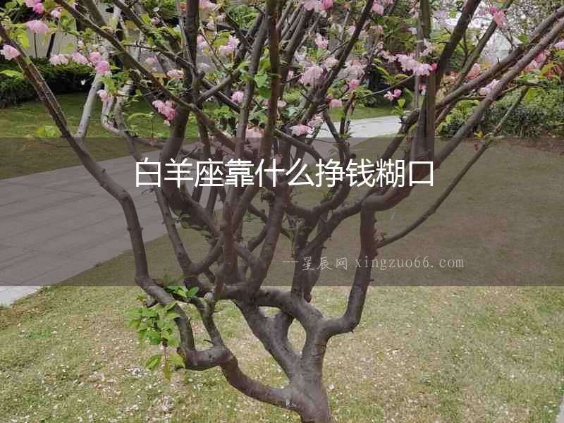 白羊座靠什么掙錢糊口
