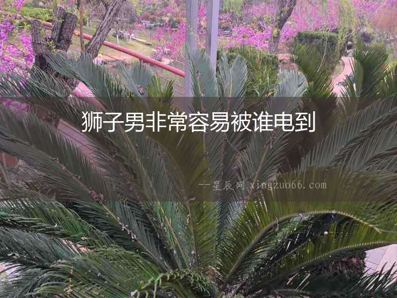 獅子男非常容易被誰電到