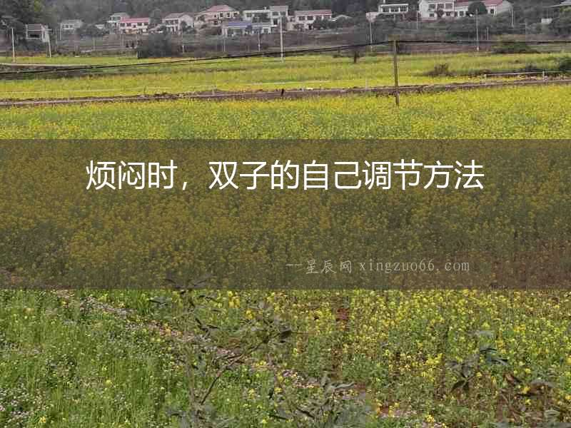 煩悶時(shí)，雙子的自己調(diào)節(jié)方法