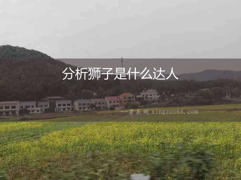 分析獅子是什么達人