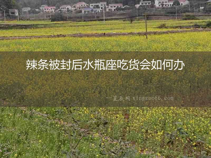 辣條被封后水瓶座吃貨會如何辦