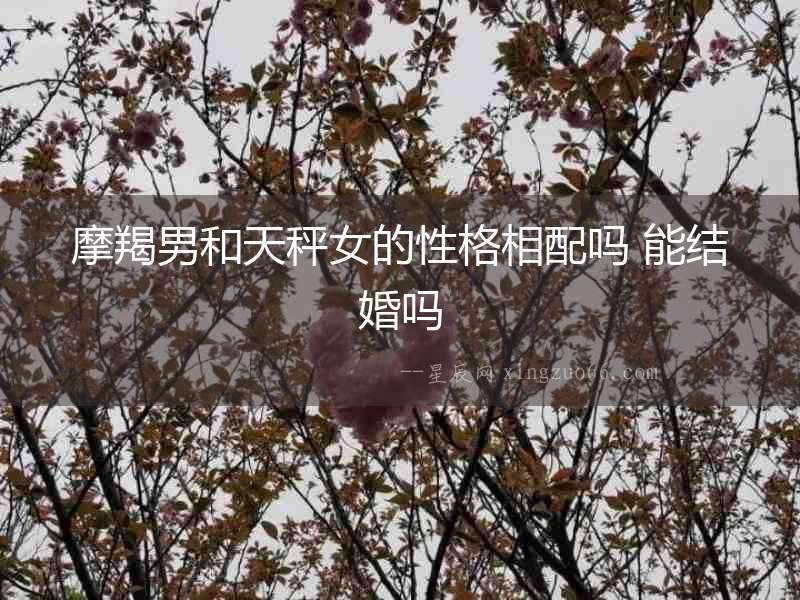 摩羯男和天秤女的性格相配嗎 能結婚嗎
