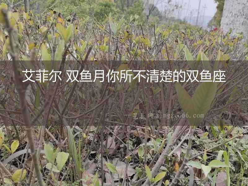 艾菲爾 雙魚月你所不清楚的雙魚座