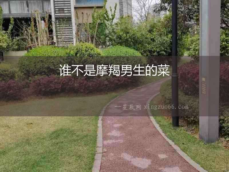 誰不是摩羯男生的菜