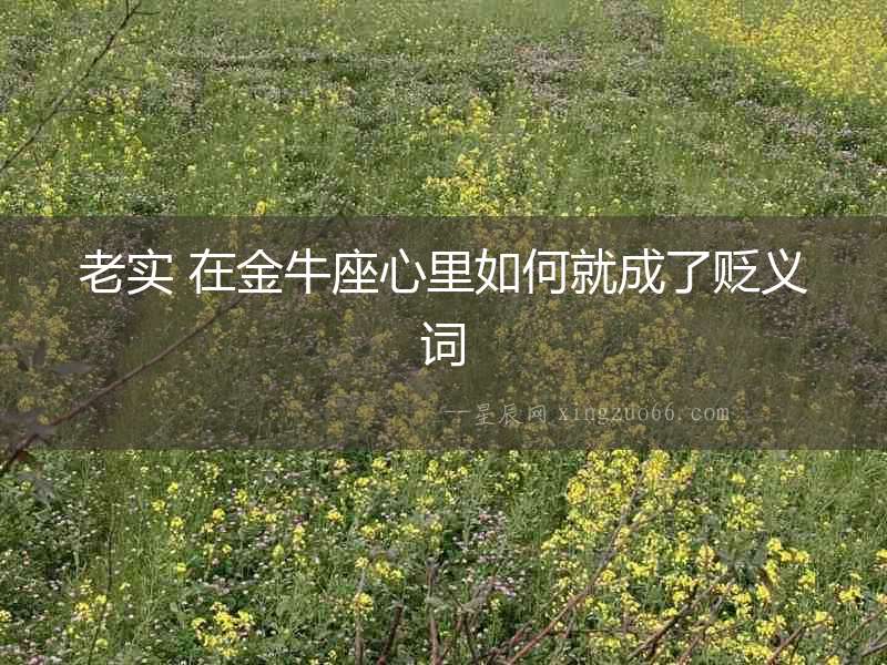 老實(shí) 在金牛座心里如何就成了貶義詞