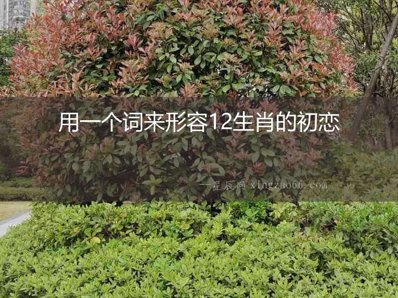 用一個詞來形容12生肖的初戀