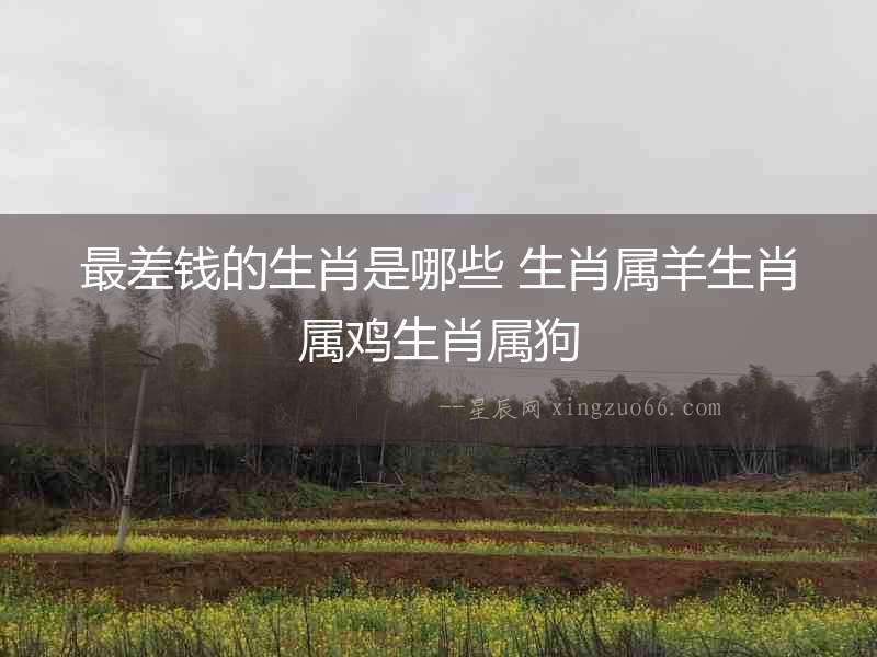 最差錢的生肖是哪些 生肖屬羊生肖屬雞生肖屬狗