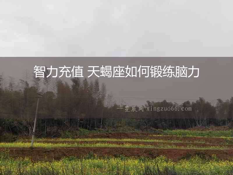 智力充值 天蝎座如何鍛練腦力