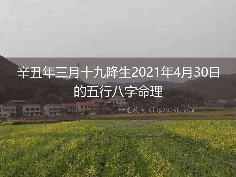 辛丑年三月十九降生2021年4月30日的五行八字命理