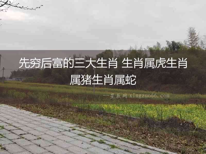 先窮后富的三大生肖 生肖屬虎生肖屬豬生肖屬蛇