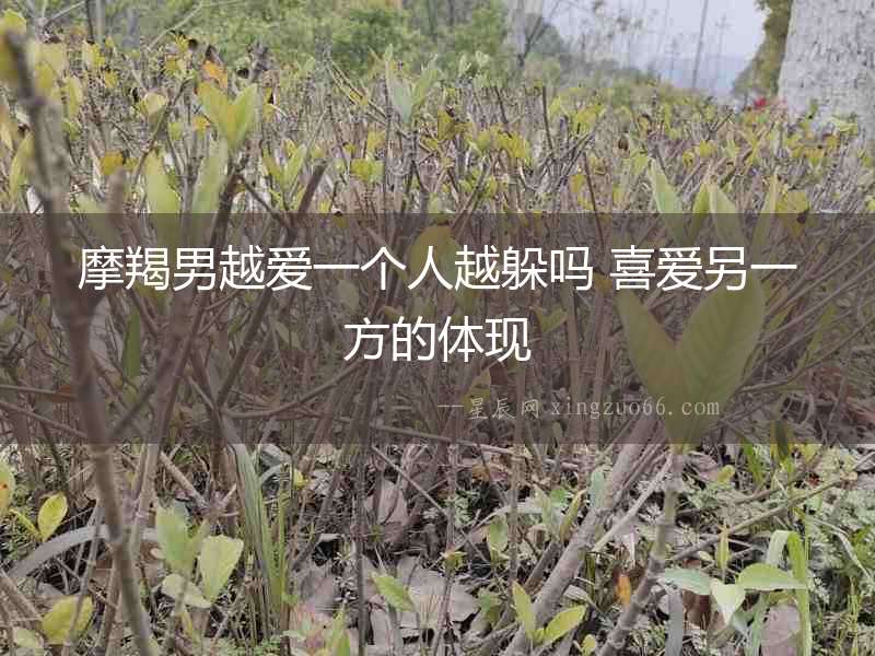 摩羯男越愛一個人越躲嗎 喜愛另一方的體現
