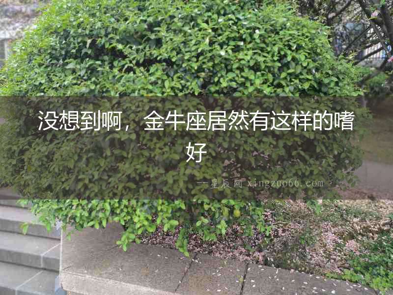 沒想到啊，金牛座居然有這樣的嗜好