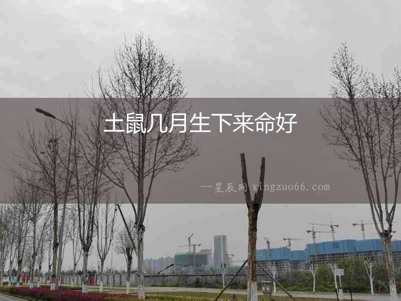 土鼠幾月生下來命好