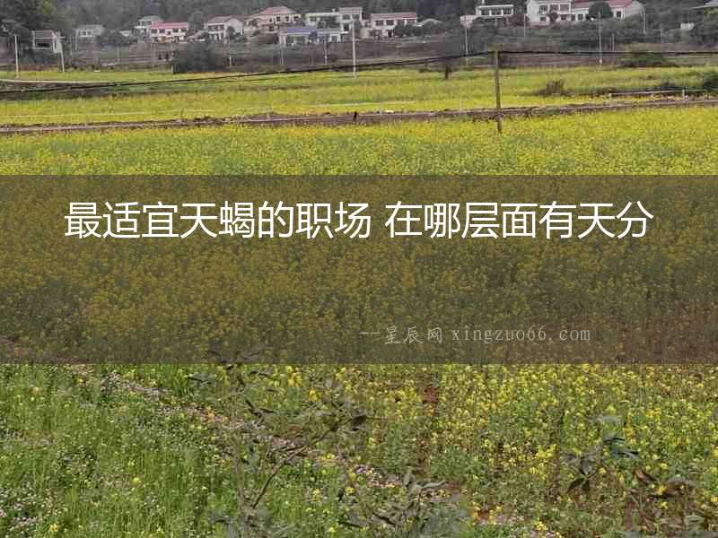 最適宜天蝎的職場 在哪層面有天分