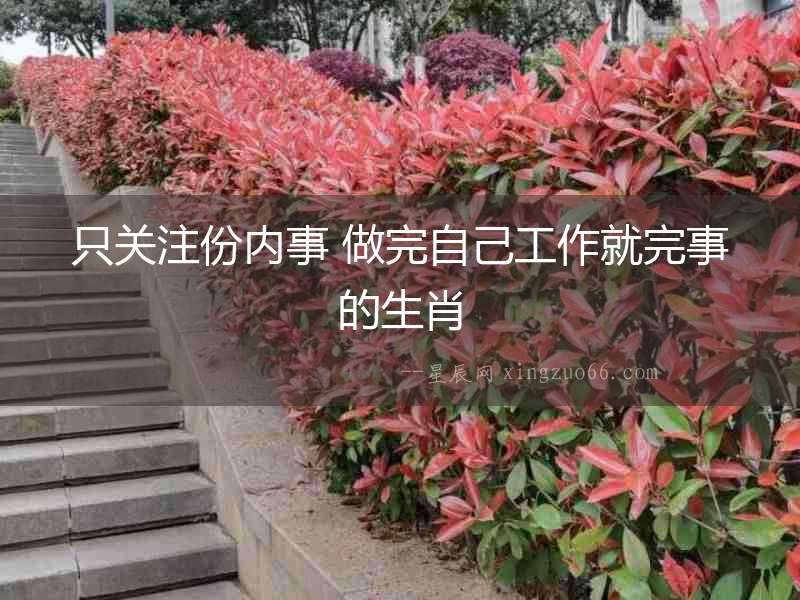 只關注份內(nèi)事 做完自己工作就完事的生肖