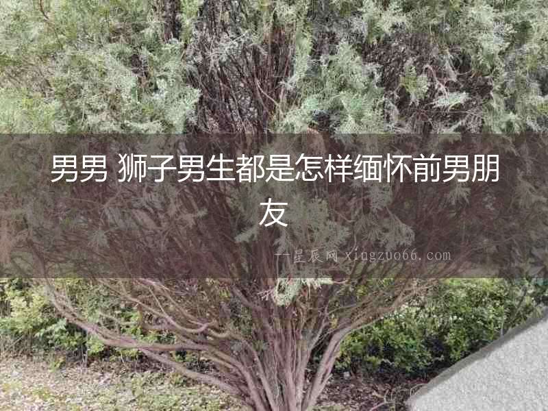 男男 獅子男生都是怎樣緬懷前男朋友