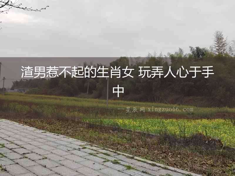 渣男惹不起的生肖女 玩弄人心于手中