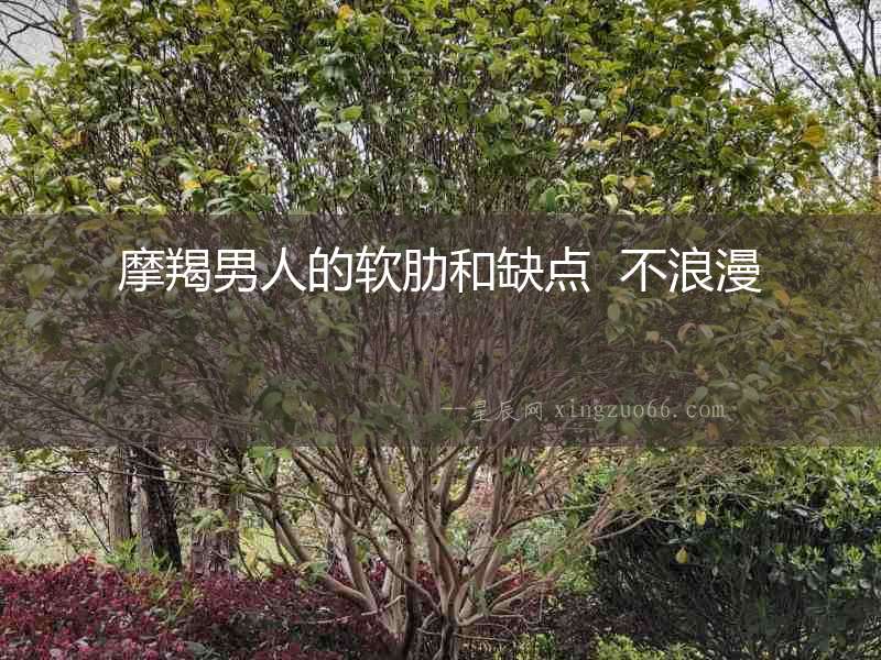 摩羯男人的軟肋和缺點  不浪漫