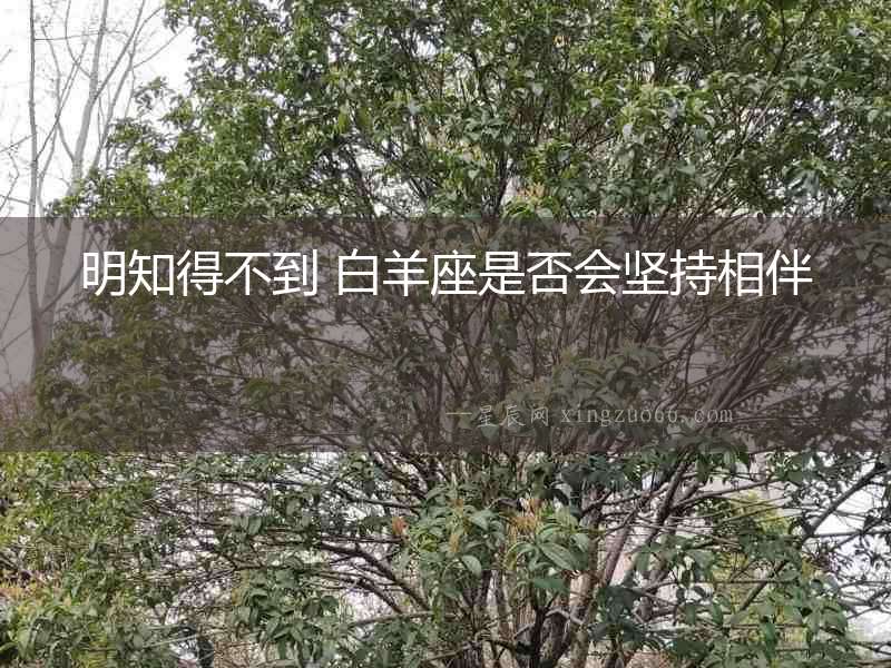 明知得不到 白羊座是否會堅持相伴