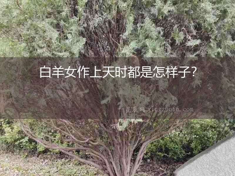 白羊女作上天時都是怎樣子？