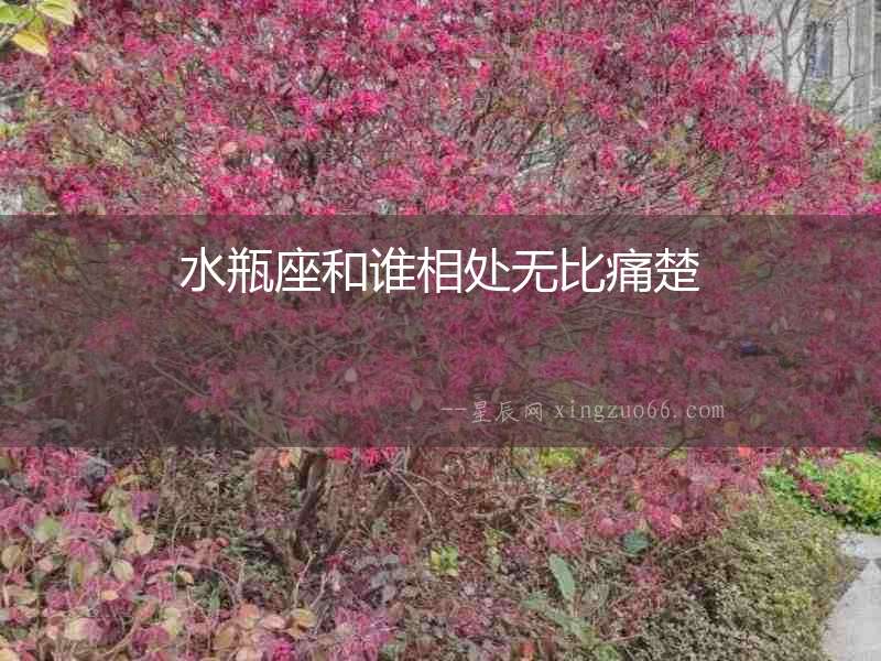 水瓶座和誰相處無比痛楚
