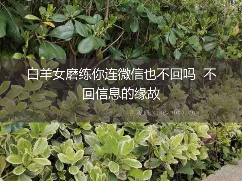 白羊女磨練你連微信也不回嗎  不回信息的緣故