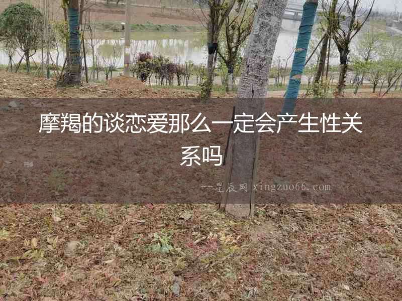 摩羯的談戀愛那么一定會產生性關系嗎