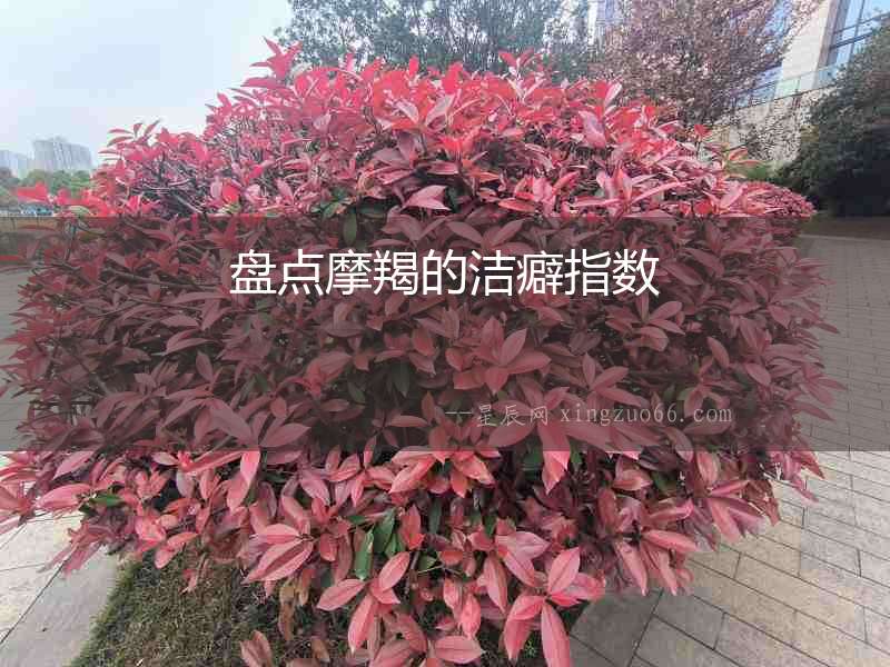 盤點(diǎn)摩羯的潔癖指數(shù)