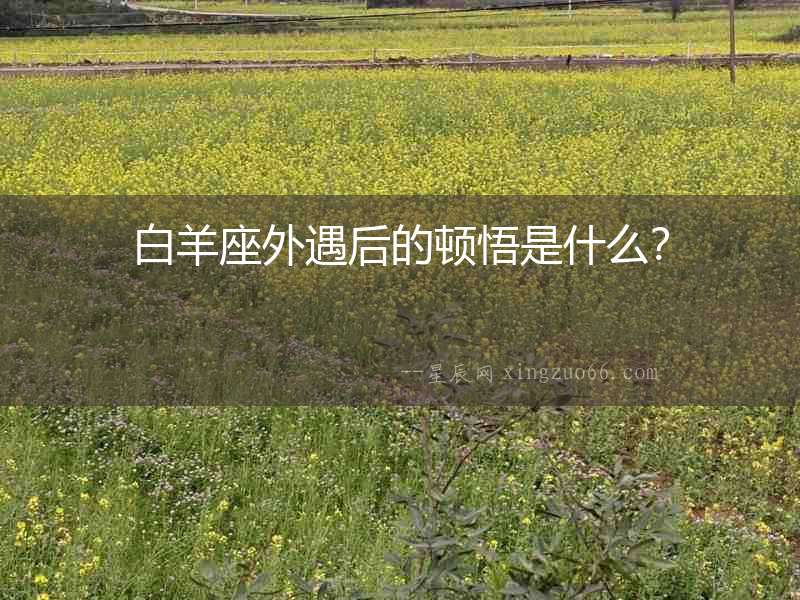 白羊座外遇后的頓悟是什么？