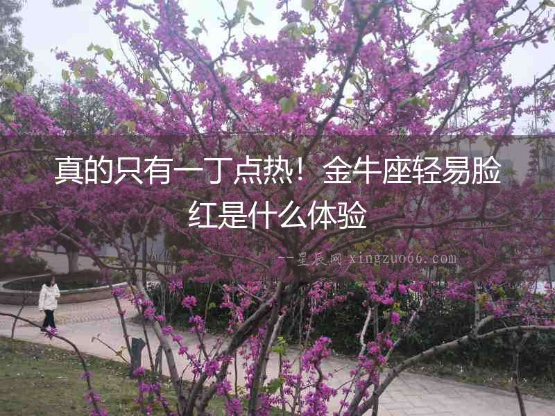 真的只有一丁點熱！金牛座輕易臉紅是什么體驗