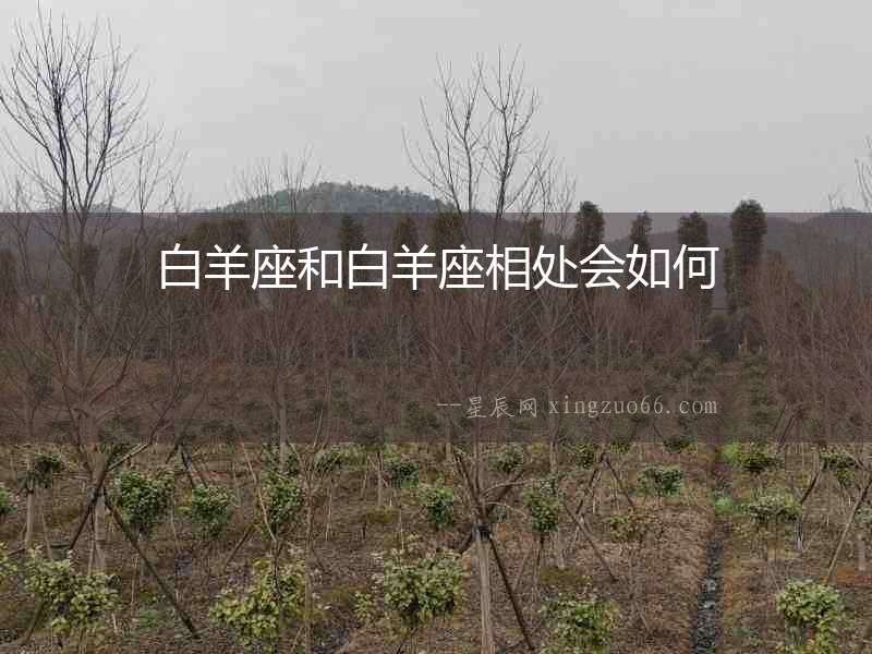 白羊座和白羊座相處會如何