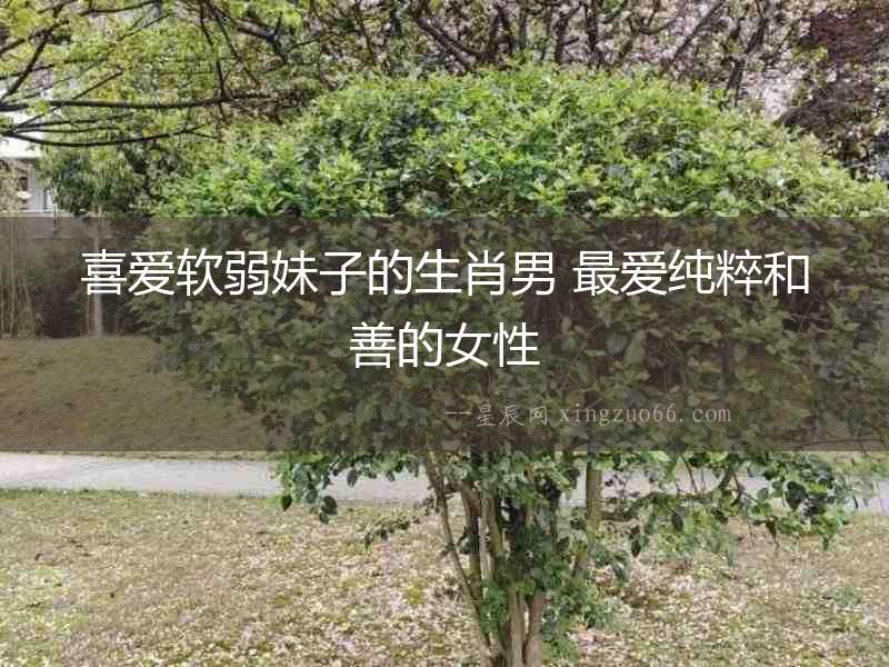 喜愛軟弱妹子的生肖男 最愛純粹和善的女性