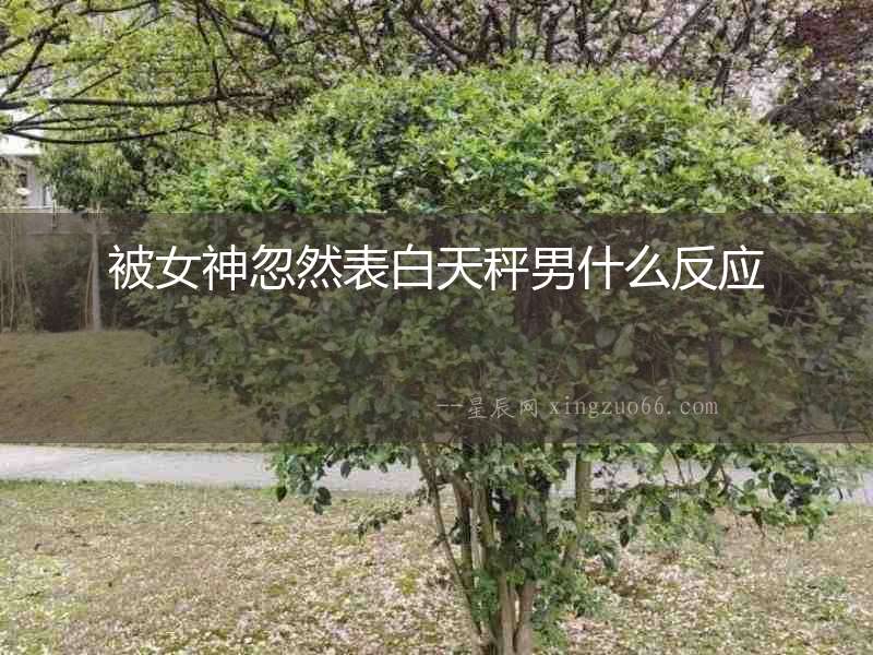 被女神忽然表白天秤男什么反應