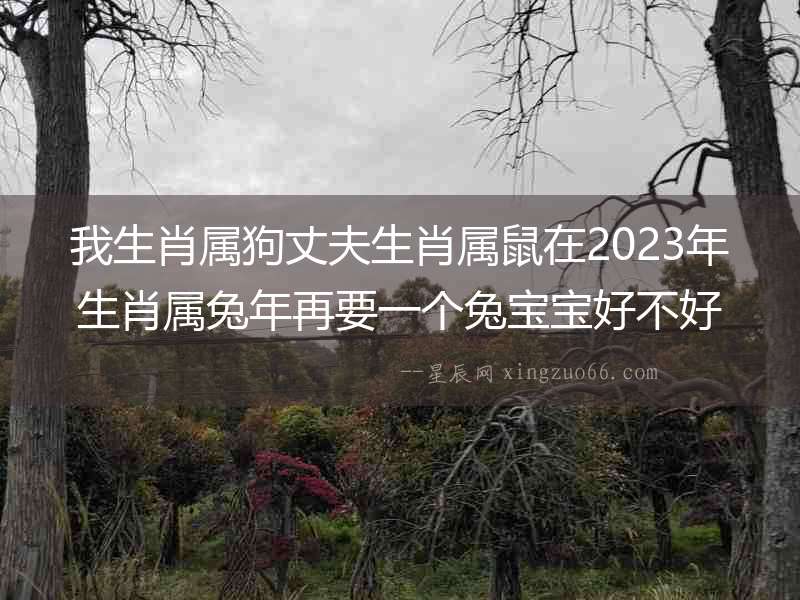 我生肖屬狗丈夫生肖屬鼠在2023年生肖屬兔年再要一個兔寶寶好不好？