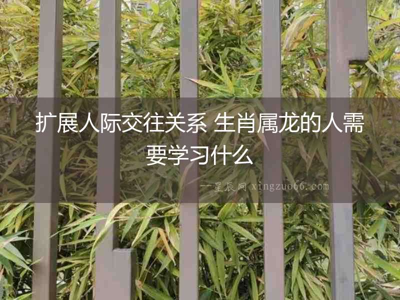 擴展人際交往關系 生肖屬龍的人需要學習什么