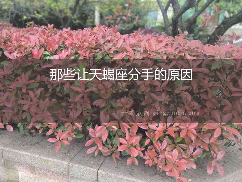 那些讓天蝎座分手的原因