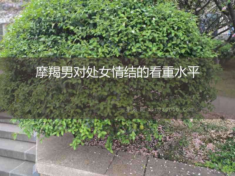 摩羯男對處女情結的看重水平