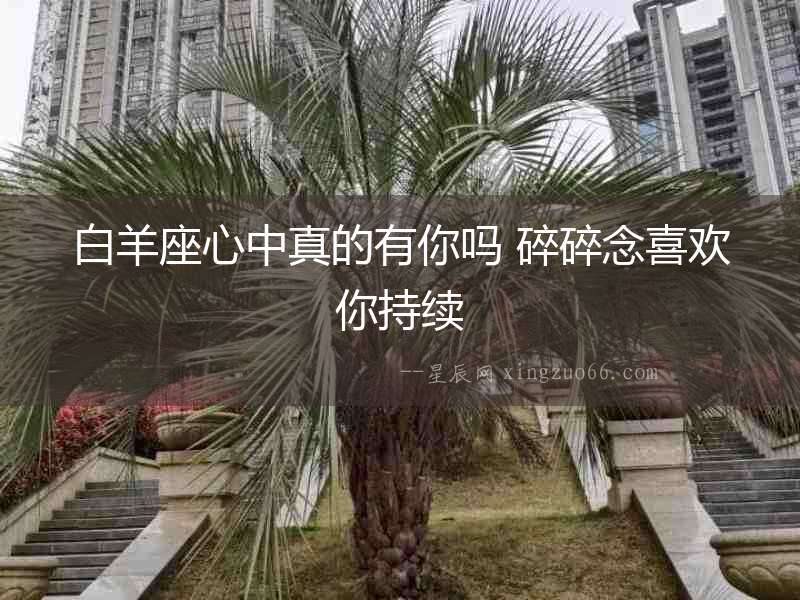白羊座心中真的有你嗎 碎碎念喜歡你持續